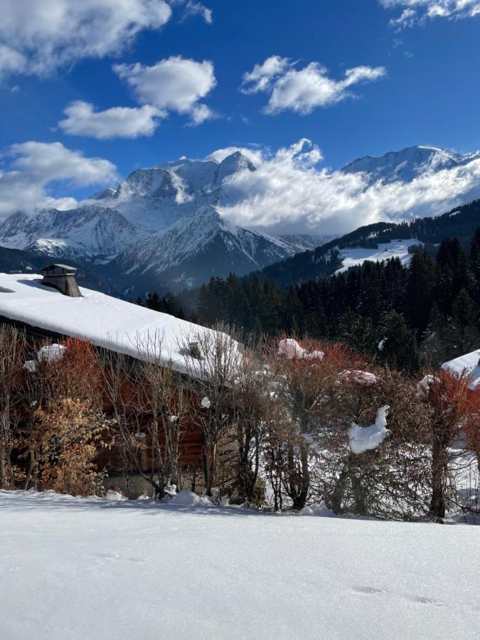 Vue Splendide Mont Blanc Apartment แซ็งต์-แฌร์เวส์-เลส์-แบ็งส์ ภายนอก รูปภาพ