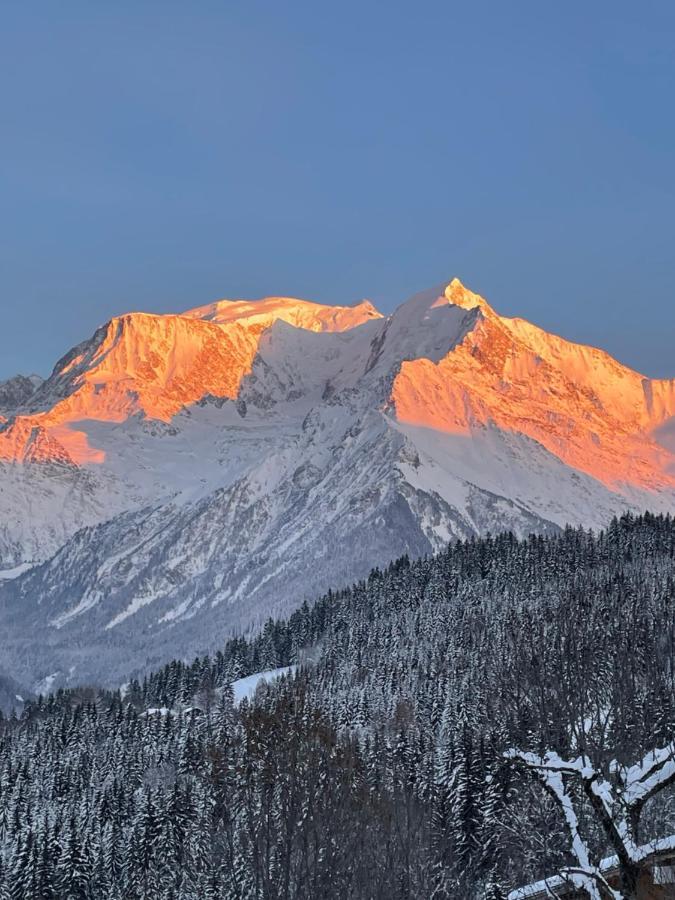 Vue Splendide Mont Blanc Apartment แซ็งต์-แฌร์เวส์-เลส์-แบ็งส์ ภายนอก รูปภาพ