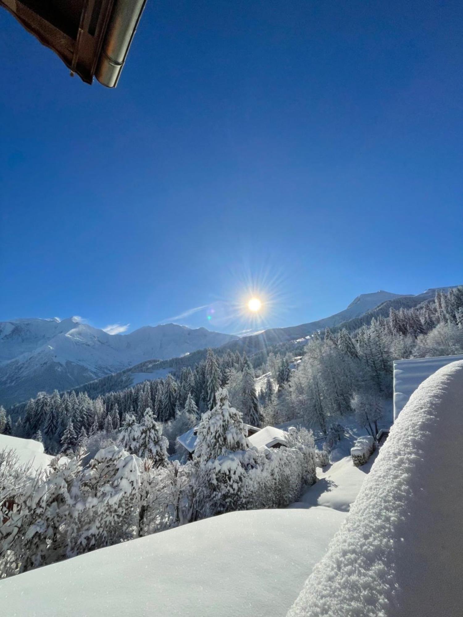 Vue Splendide Mont Blanc Apartment แซ็งต์-แฌร์เวส์-เลส์-แบ็งส์ ภายนอก รูปภาพ